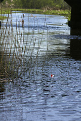 Image showing Under the bridge