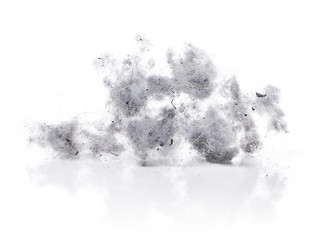 Image showing Dust