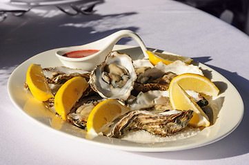 Image showing oysters plate