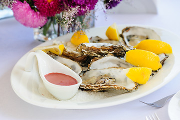 Image showing oysters plate