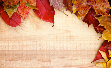 Image showing Autumn Leafs