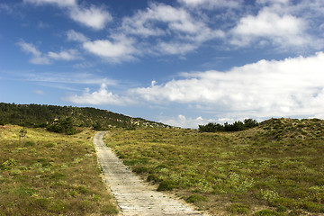 Image showing Wood path