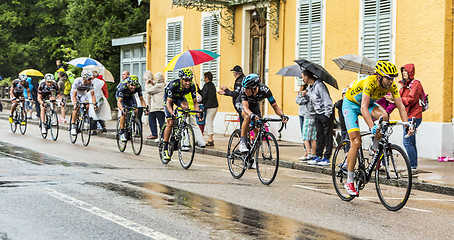 Image showing The Yellow Jersey - Vincenzo Nibali