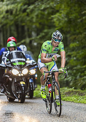 Image showing Green Jersey - Peter Sagan