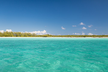 Image showing blue sea or ocean, beach and forest