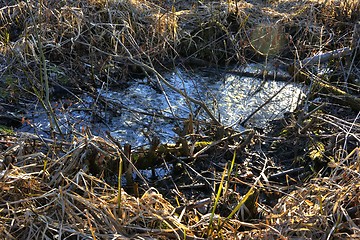 Image showing Puddle