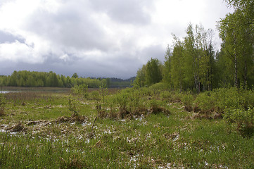 Image showing Spring