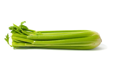 Image showing Celery on White