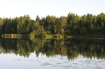 Image showing Reflection