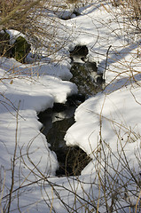 Image showing Creek