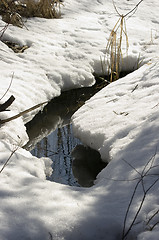 Image showing Creek