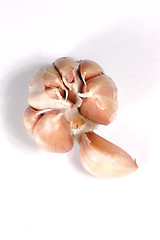 Image showing fresh garlic