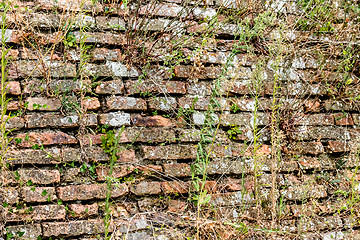 Image showing Medieval brick walls