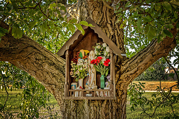 Image showing Votive aedicula on a tree 