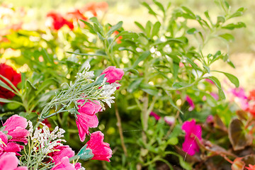 Image showing Votive plastic flowers under a tree