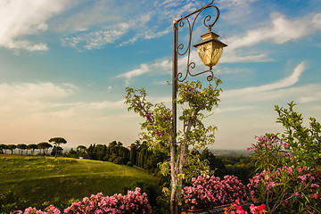 Image showing Lamp on green view