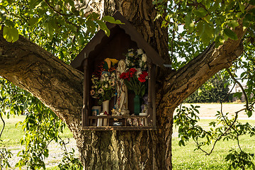 Image showing Votive aedicula on a tree 