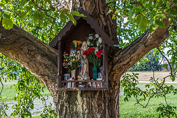 Image showing Votive aedicula on a tree 