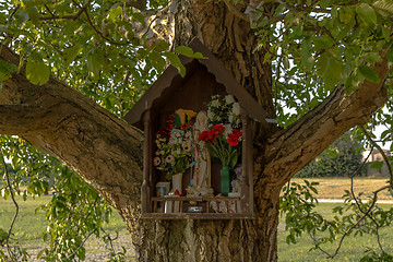 Image showing Votive aedicula on a tree 