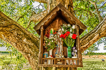 Image showing Votive aedicula on a tree 