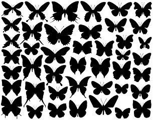 Image showing Butterfly shapes