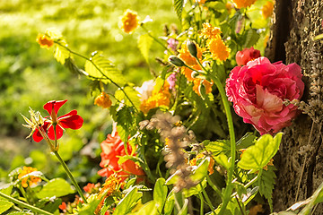 Image showing Votive flowers under a tree