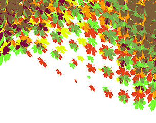 Image showing Autumnal