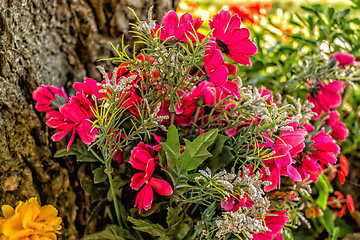 Image showing Votive flowers under a tree