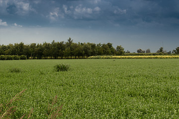 Image showing Cultivated fields 