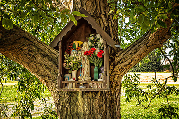 Image showing Votive aedicula on a tree 