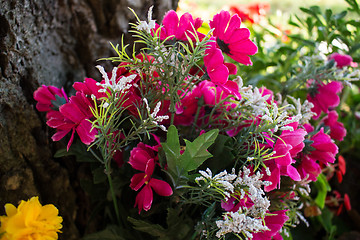 Image showing Votive flowers under a tree