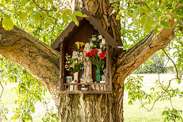 Image showing Votive aedicula on a tree 