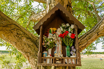 Image showing Votive aedicula on a tree 