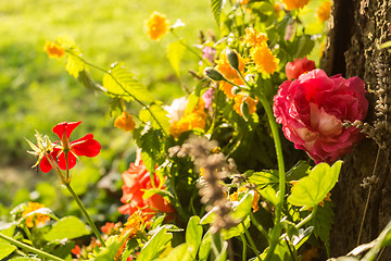 Image showing Votive flowers under a tree