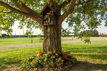 Image showing Votive aedicula on a tree 