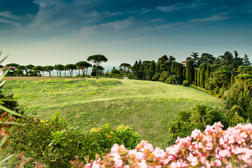 Image showing Weeds on green view