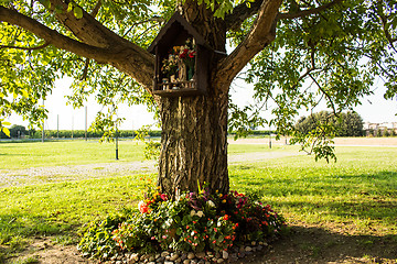 Image showing Votive aedicula on a tree 