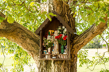 Image showing Votive aedicula on a tree 