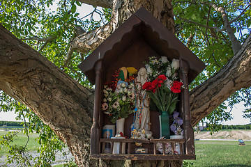 Image showing Votive aedicula on a tree 