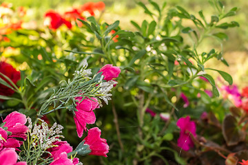 Image showing Votive plastic flowers under a tree