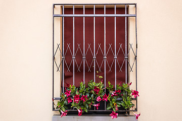 Image showing Iron grating window