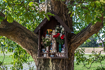 Image showing Votive aedicula on a tree 