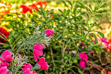 Image showing Votive plastic flowers under a tree