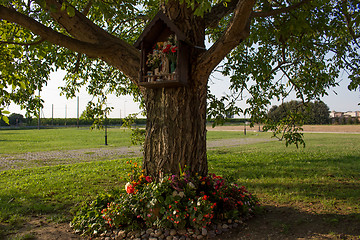 Image showing Votive aedicula on a tree 