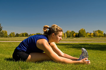 Image showing Seated Hamstring Stretch