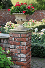 Image showing  garden vase with red roses