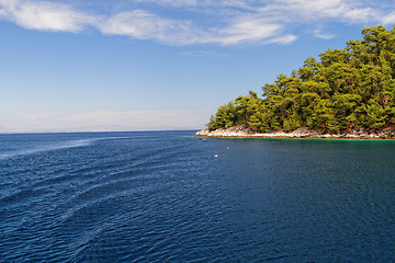 Image showing Green island