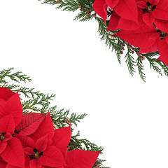 Image showing Poinsettia Floral Border