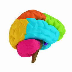 Image showing Colorfull human brain