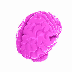 Image showing Human brain